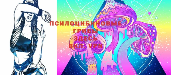 амф Каменногорск
