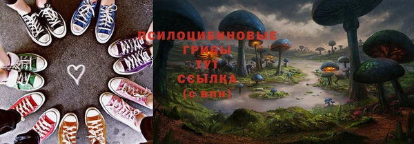 амф Каменногорск