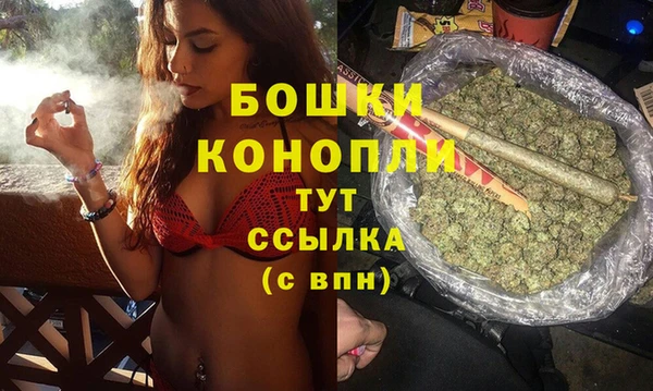 амф Каменногорск