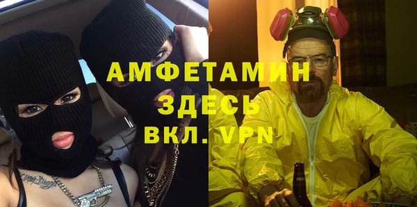 амф Каменногорск